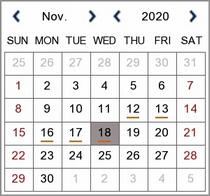 Calender Date Selection Window On A Zip DVR Or NVR