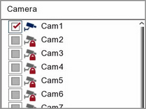 Sub Periods Camera Selection On A Zip DVR Or NVR